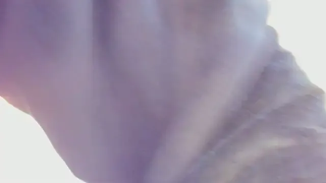 Avatar of stephany_summer