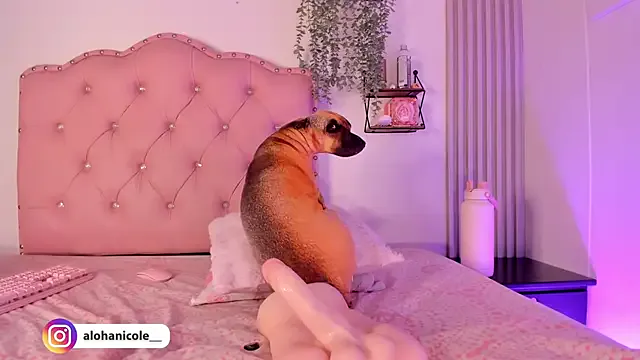 Avatar of sweet_nicole_11