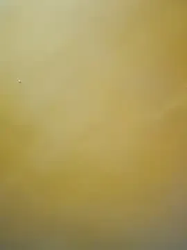 Avatar of tamil-mala23