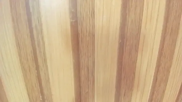 Avatar of Taylor__cooper