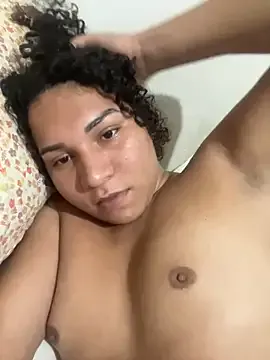 transnovata065 — 500