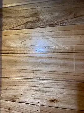 violet-00 — Freechat on StripChat