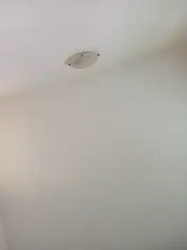 Avatar of Virgin_Pussy_Love