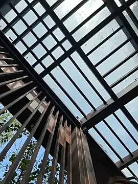 Avatar of xiaoliansweet