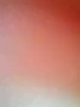 xiaoqingren — C2C   24TK