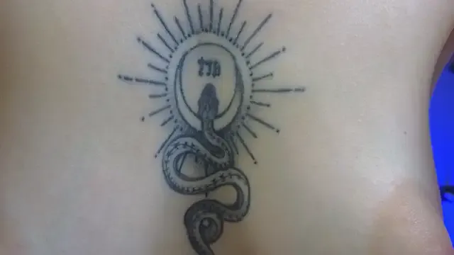 Avatar of Your_Auggie